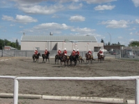 Musical horse drill